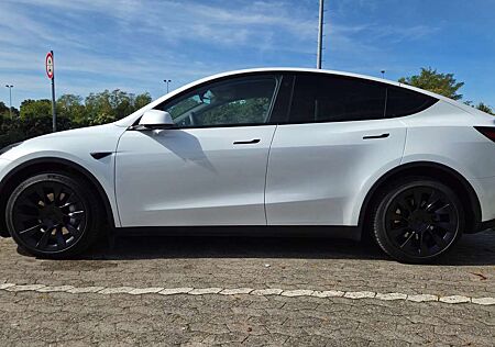 Tesla Model Y LR Dual Motor AWD + Ambientebeleuchtung !