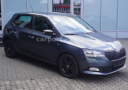 Skoda Fabia Drive 125 Best Automatik/Apple+Andro/WR+SR