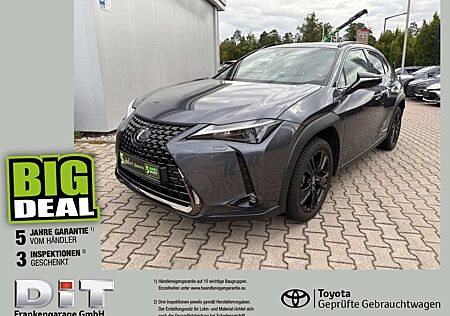Lexus UX 250h Style+ Edition LED, SHZ, AppleCarPlay