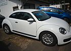VW Beetle Volkswagen Lim. BMT 1. Hand Klima 105000KM 105 PS
