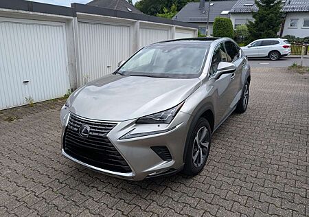 Lexus NX 300 NX 300h 300 AWD Luxury Line