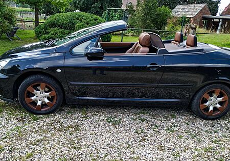 Peugeot 307 4-Sitzer-Cabrio mit seltener Sonderausstattung