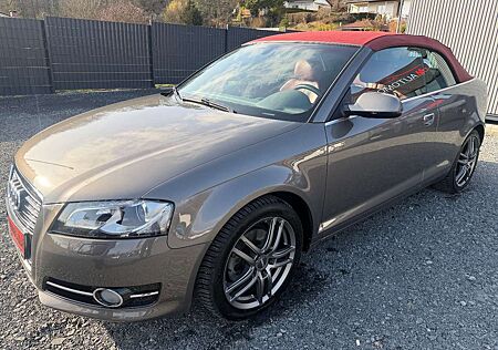 Audi A3 Cabriolet Ambition Bi-XENON/BOSE/AUTOMATIK