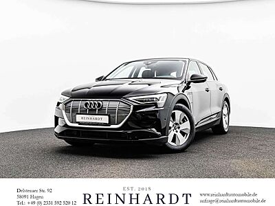 Audi e-tron 50 BASIS LED/TEMPOMAT/NAVI+/AIR-SUS/VC