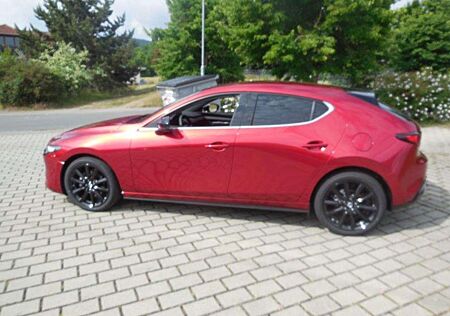 Mazda 3 2.5 e-SKYACTIV G 140PS Homura Voll-LED, Sitzheizun