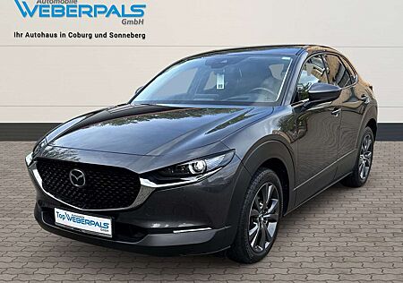 Mazda CX-30 Selection 2WD-NAVI-360°KAMERA-SITZHEIZUNG-LED