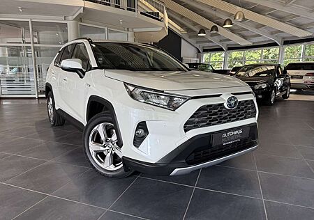 Toyota RAV4 2,5 4X4 HYBRID TEAM DEUTSCHLAND 1. BESITZ