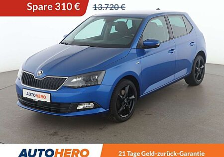 Skoda Fabia 1.0 TSI Clever*NAVI*ACC*PDC*SHZ*KLIMA*