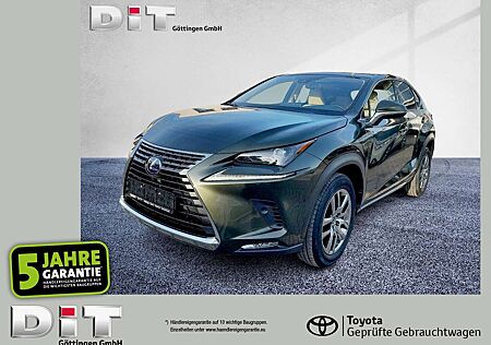 Lexus NX 300 h Executive Line Pano, SpurH, Leder