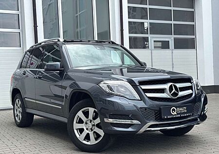 Mercedes-Benz GLK 250 CDI BlueTec 4Matic OFFROUD *KAME*AHK*