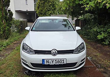 VW Golf Volkswagen VII 1.6 TDI BlueMotion