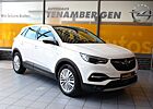 Opel Grandland X Ultimate Bi-LED Kamera Navi Leder