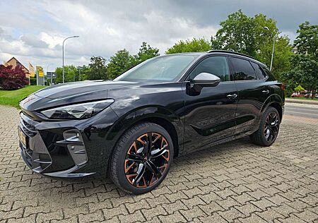 Cupra Terramar 2.0TSI 4Drive DSG VZ P-Dach MATRIX HuD 20" 360°