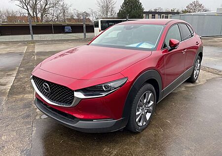 Mazda CX-30 SKYACTIV-G 2.0 150PS M Hybrid Selection, DES-P., P