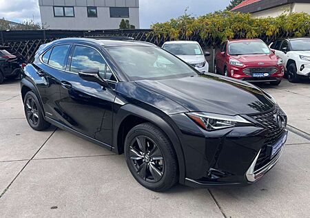 Lexus UX 250h 2,0 Hybrid Automatik/Leder/Klima/Navi/Kam