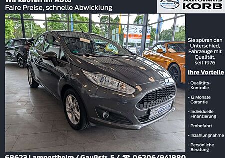 Ford Fiesta 1.25 Celebration, 1.Hand, Zahnriemen Neu