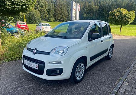 Fiat Panda 1.2 8V Easy