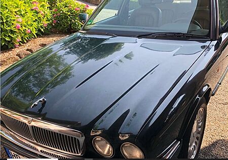 Jaguar Daimler Six