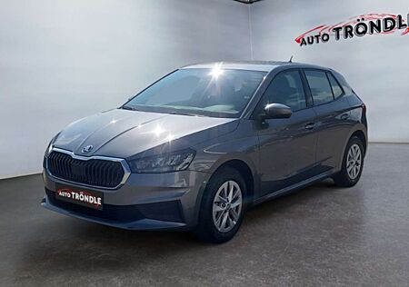Skoda Fabia 1.0 TSI Selection +AHK +Kamera +SHZ +LED