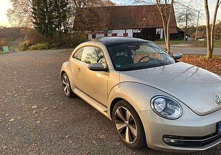 VW Beetle Volkswagen The 1.6 TDI DPF CUP