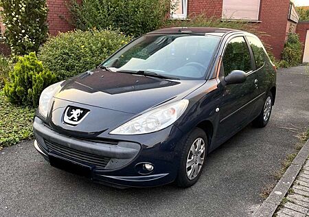 Peugeot 206 + 60
