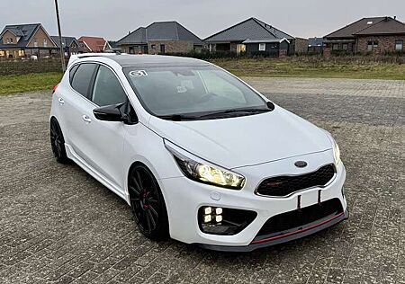 Kia Cee'd Ceed / GT-Track | Bull-X | Scheckheft | Gewinde | CarPlay