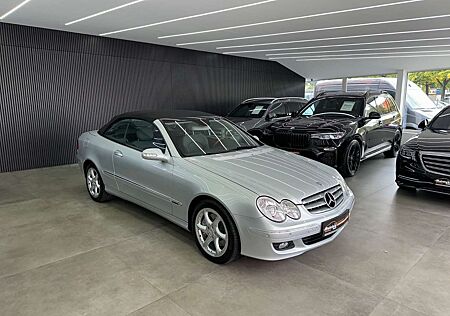 Mercedes-Benz CLK 350 Cabrio*Memory*Bi-Xenon*Leder*Sitzheizung