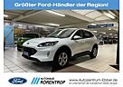 Ford Kuga Cool & Connect 2.5 PHEV Navi Winterpaket