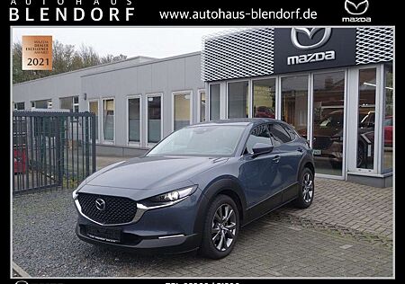 Mazda CX-30 Selection 180 BOSE|Matrix-LED|360°