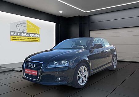 Audi A3 Cabriolet Ambition Leder Mehrzonenklima SHZ PDC Al
