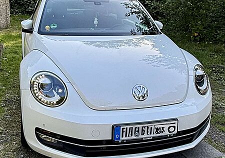 VW Käfer Volkswagen