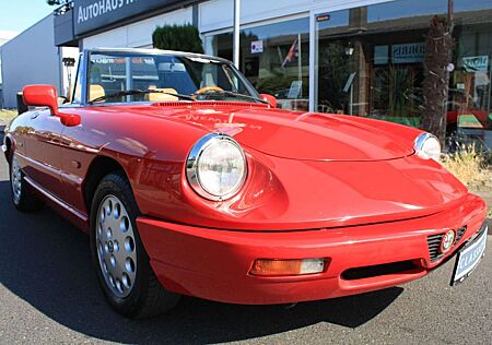 Alfa Romeo Spider H-Kennzeichen "oder Tausch möglich"