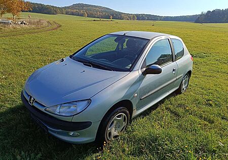 Peugeot 206 voll fahrbereit