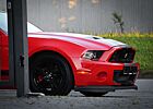 Ford Mustang 3.7 V6 Cabrio/Roush-Sportausp./Shaker