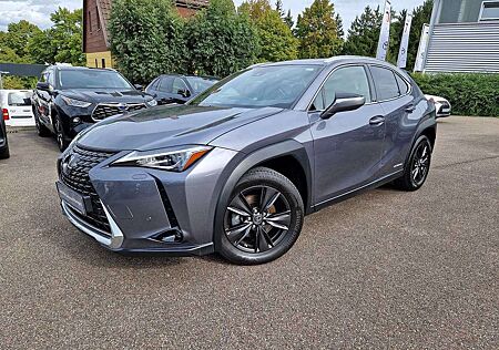 Lexus UX 250h Amazing Edition Keyless/PDC