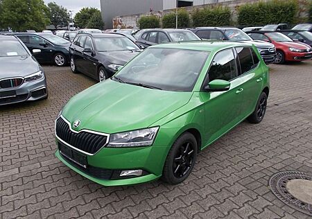 Skoda Fabia Solei, Klimaaut., Sitzheiz., zus. WR, Tempomat