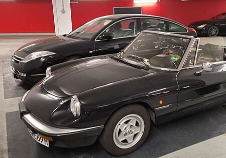 Alfa Romeo Spider