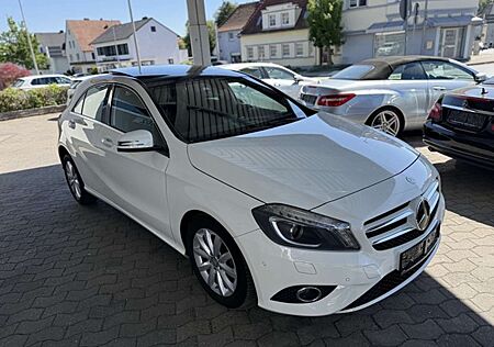 Mercedes-Benz A 180 Style Panorama Teil-Leder BI-Xenon PDC