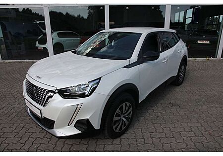 Peugeot 2008 (e-) Active Klima Mirror LED GjR GRA EPH