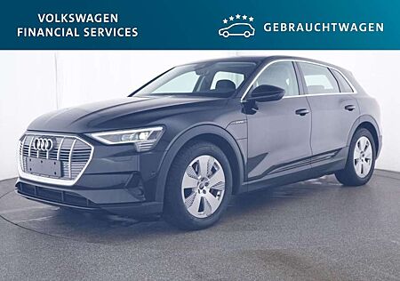 Audi e-tron Basis quattro 50 230kW AHK*RFK*PDC*Tempo