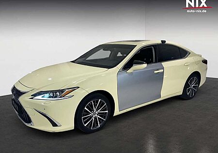 Lexus ES 300 2.5 Hybrid Business Line TAXI UMBAU