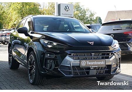 Cupra Terramar 2.0 TSI 4-Drive MEMO PANO HUD AHK 360° ACC