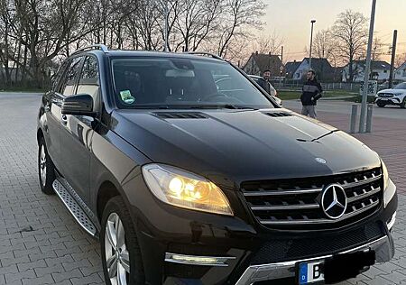 Mercedes-Benz ML 350 BlueEfficiency DESIGNO LEDER