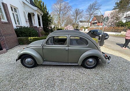 VW Käfer Volkswagen