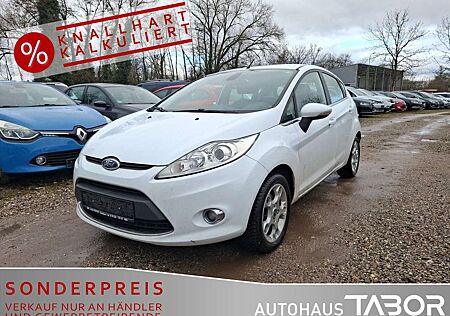 Ford Fiesta 1.25 Titanium Klimaautomatik SHZ LM