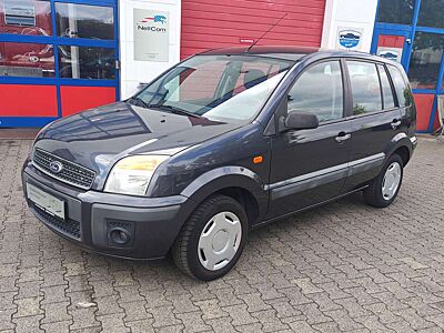 Ford Fusion Style