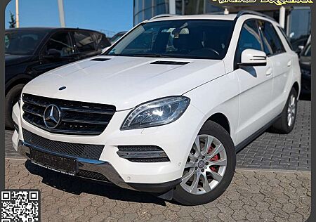 Mercedes-Benz ML 350 CDI BlueTec RFK. Sitzh. Navi.