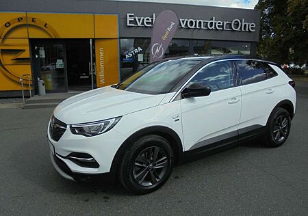 Opel Grandland gebraucht kaufen Opel Grandland 2020+Winter-Paket+Kamera