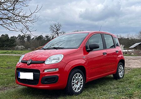 Fiat Panda 1.2 Easy, AHK, 8fach bereift, Top-Zustand
