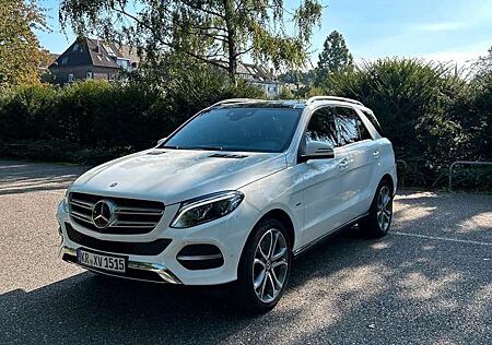 Mercedes-Benz GLE 500 e 4Matic Luxury P./Mega Ausstattung/21"